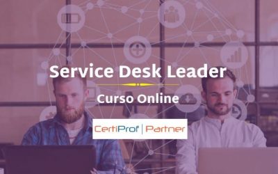Service Desk Leader – Online (SDLPC)